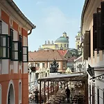 Ezüst Boróka